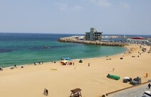 오피투어 강릉안목해변