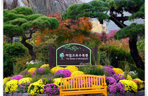 오피투어 가평아침고요수목원