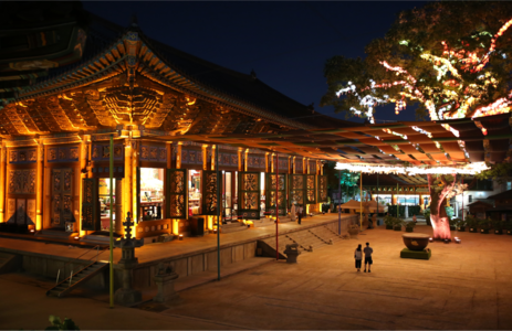 오피투어 핫플레이스 서울조계사