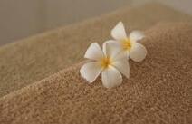 오피투어 휴게텔